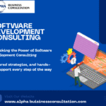 software development consulting