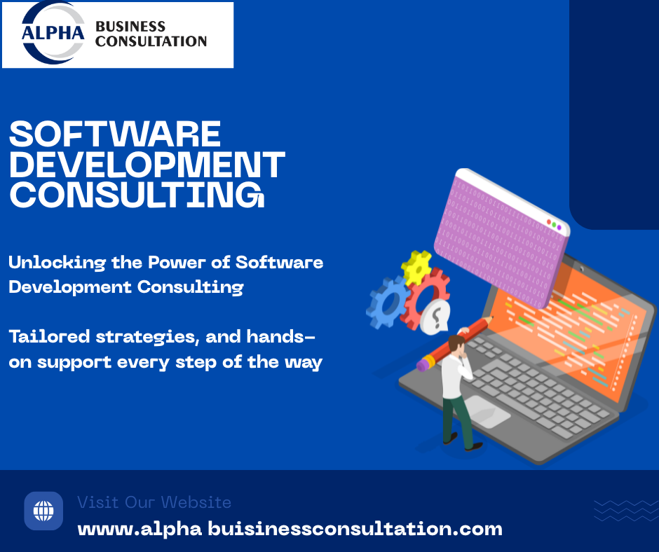software development consulting